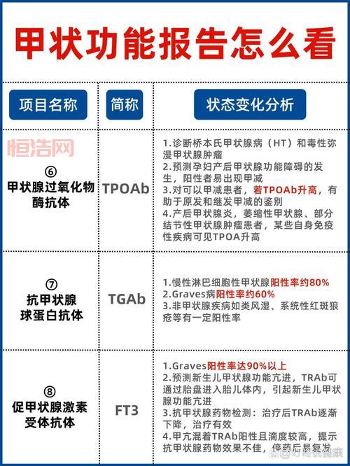 金翼赢家智胜版v8.0.2：功能解析，全面解读其强大功能！