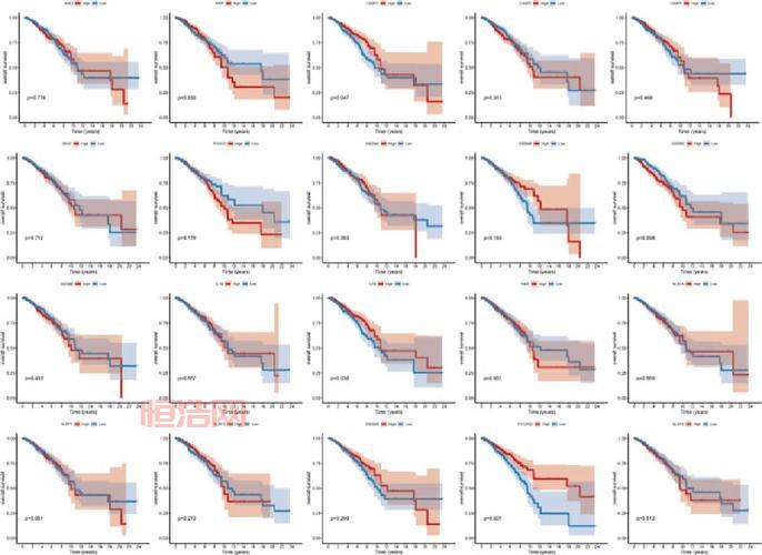 730938：PMC8670074，DOI： 10.3389fbioe.2021.730938，生物工程领域最新研究成果