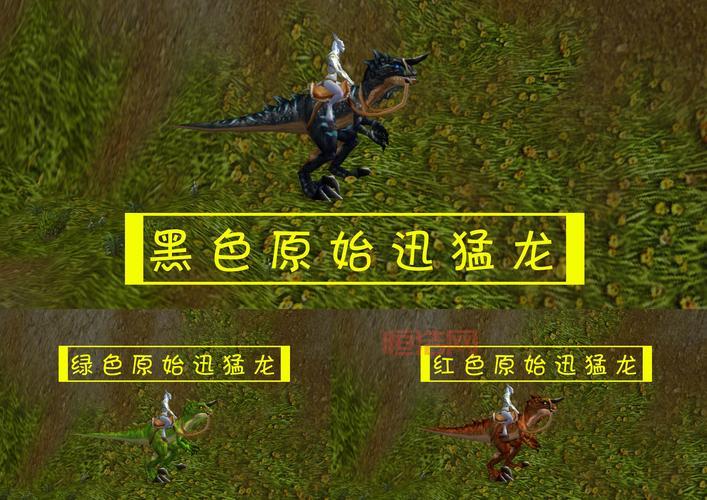 飞行老虎坐骑图纸：熊猫人珠宝加工日常任务奖励！