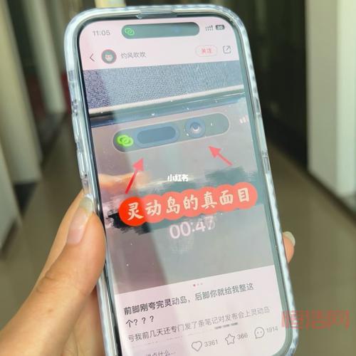 灵动鸟App：告别枯燥通知，开启灵动新体验！