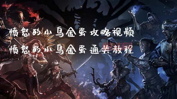 愤怒的小鸟金蛋攻略：最全攻略，助你轻松通关！