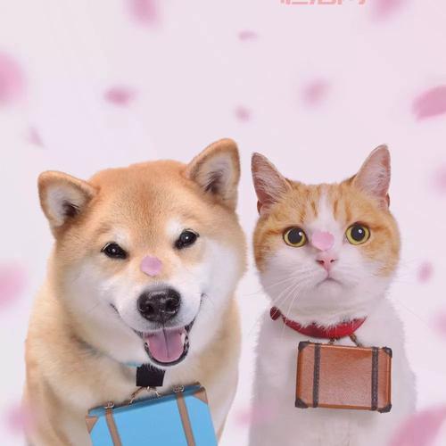 猫汤物语玩法详解：经营温泉旅馆，与猫咪一起玩耍！