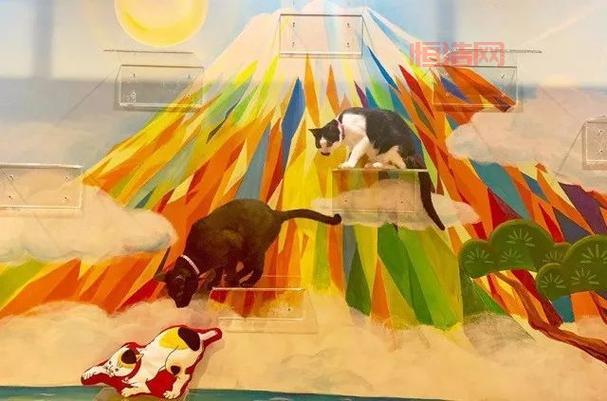猫汤物语玩法详解：经营温泉旅馆，与猫咪一起玩耍！