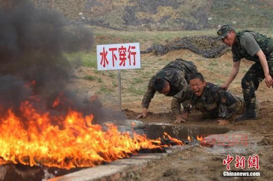 特种部队2下载：备受期待的射击游戏，开启你的战斗之旅！