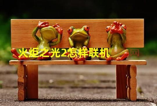 火炬之光2联机教程：新手也能轻松与好友组队！