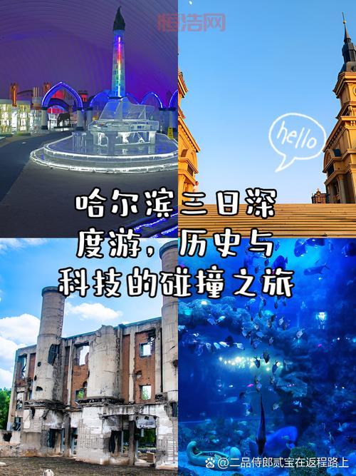 波动少女3：声优演技与角色魅力的碰撞，打造更具深度的人物形象