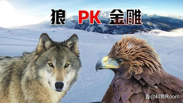桃源记狼群入侵怎么办？教你轻松击退狼群！