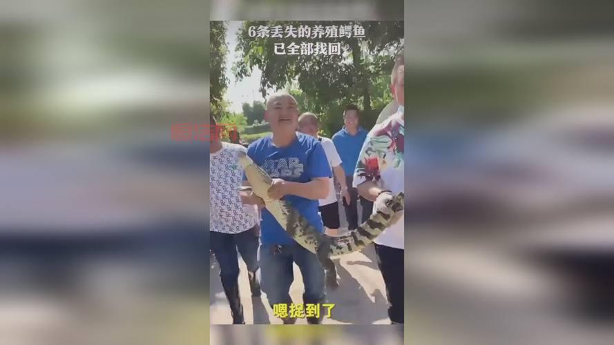 四川宜宾“出逃鳄鱼6兄弟”已全数宰杀,事件引发关注