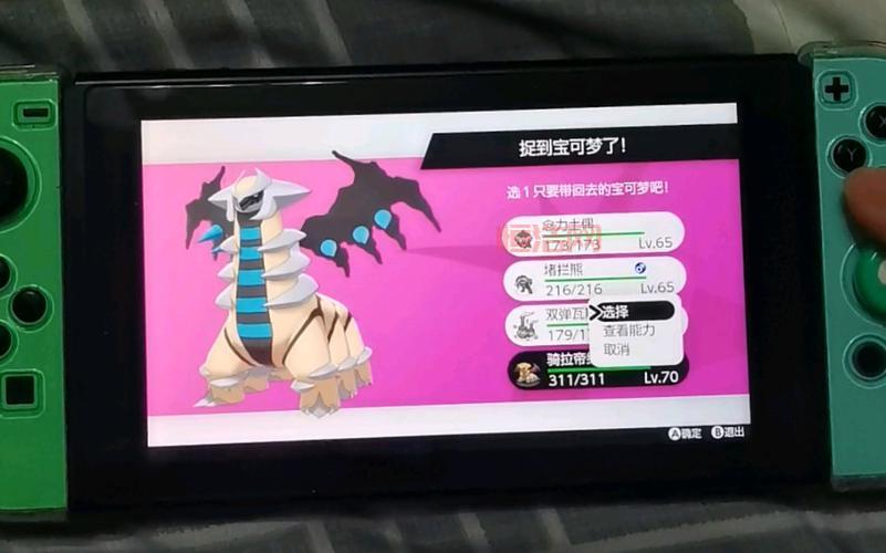 宠物小精灵剑盾：探寻宝可梦的全新冒险
