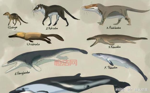 46亿年物语游戏解析：从鱼类到哺乳类的进化历程