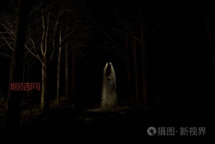 吊灯鬼：口袋妖怪中的恐怖幽灵与神秘力量