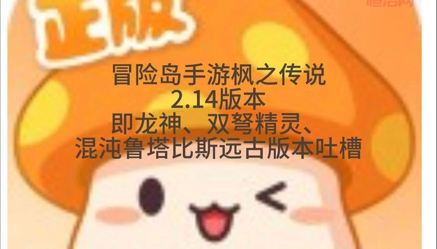 冒险岛双弩精灵装备搭配攻略，新手必看少走弯路！