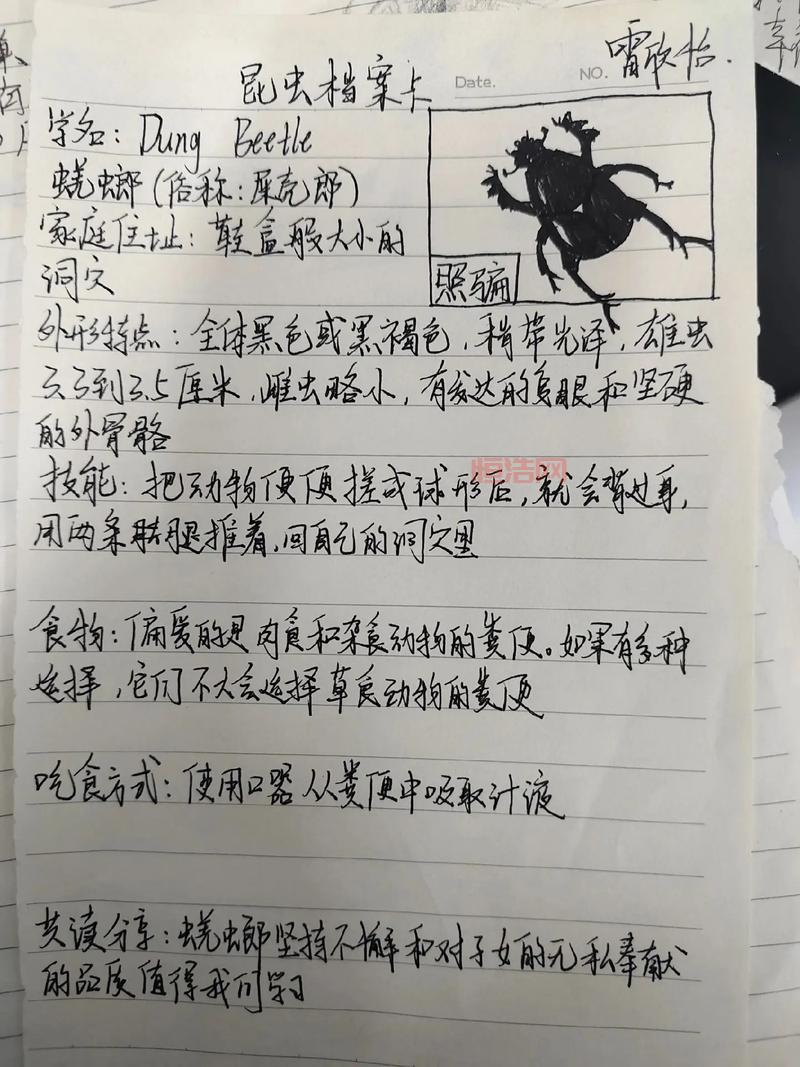 前世档案：揭开你灵魂的前世秘密