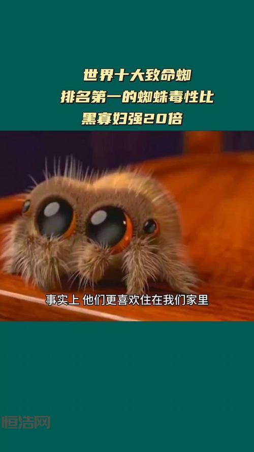 全球最毒蜘蛛排行榜：黑寡妇蜘蛛与其他致命掠食者