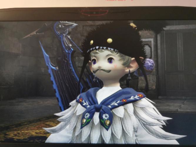 FF14陆行鸟竞赛血统培养攻略，打造9级血统赛鸟