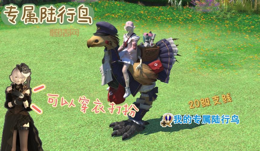 FF14陆行鸟竞赛血统培养攻略，打造9级血统赛鸟