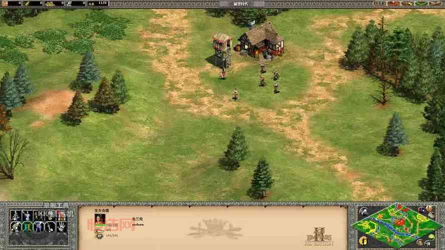 帝国时代2秘籍助手：畅享无限资源与快速胜利的秘诀