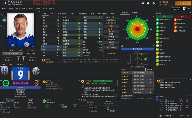 FM2011游戏特色与下载资源推荐，快速开启足球经理之路