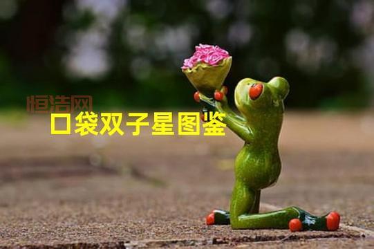 口袋妖怪双子星玩法解析：收集、战斗与任务全攻略