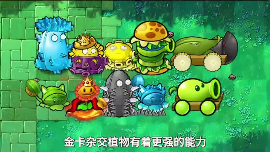 植物大战僵尸金坷垃版是哪个？教你找到正确版本！