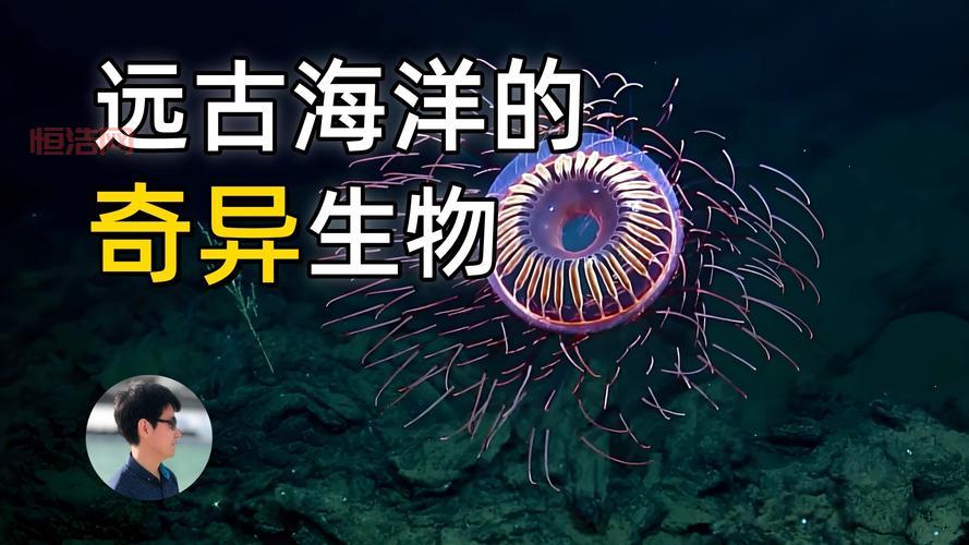 探索照妖镜：发现照片背后的神秘世界