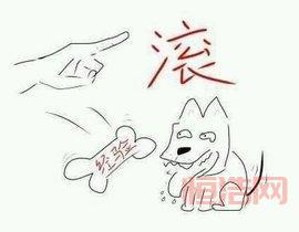 经拿滚现象：如何识别贴吧水贴的陷阱