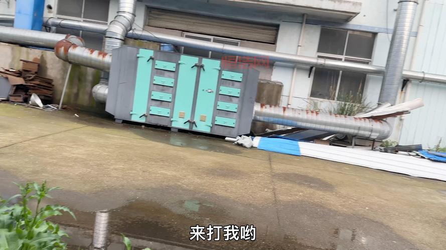 想玩保皇游戏？在线真人对战，多种规则任你选！
