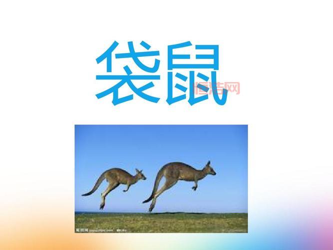 疯狂猜成语一个人划船的成语，教你轻松通关拿高分
