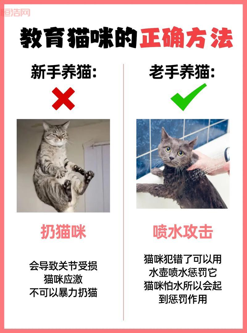 洛克王国齿轮小子获取方法及培养技巧