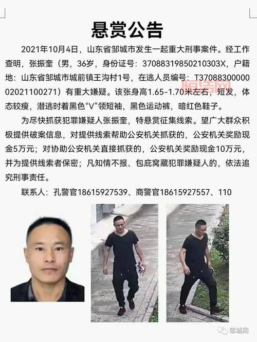 犯罪大师毁容抛尸案最新案件，五位嫌疑人身份曝光！