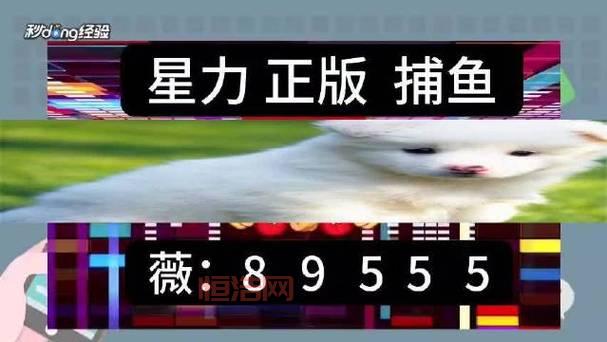星力游戏正版平台有哪些？这几个平台靠谱！