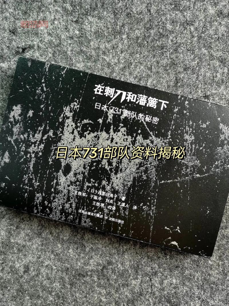 秘密档案3详细攻略：必看技巧与隐藏要素解析