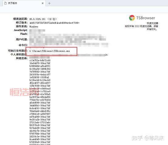 全面解析谷歌词霸：金山与谷歌的强强联手