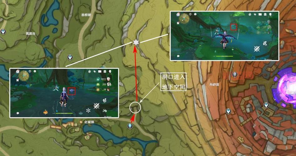 原神树王圣体菇采集路线与购买攻略