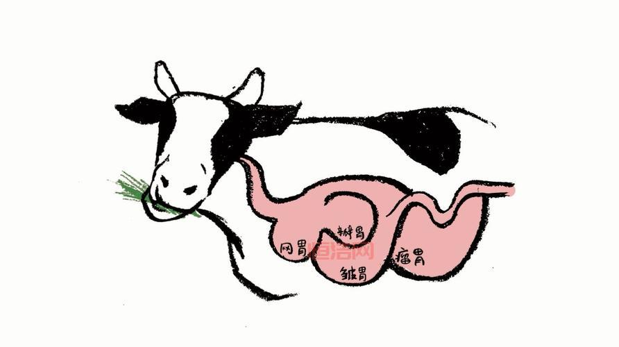 奶牛关卡怎么进？老玩家教你快速进入方法！