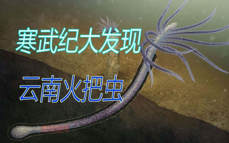 能虫特征揭秘：从外形到生态习性
