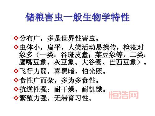 能虫特征揭秘：从外形到生态习性