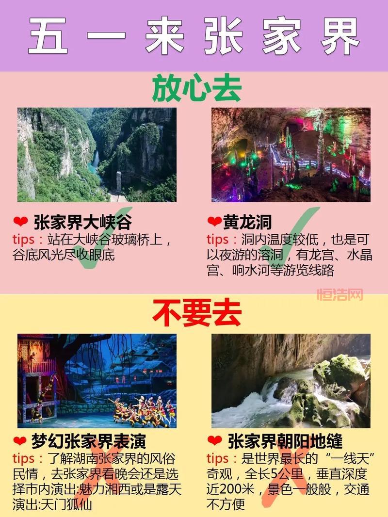 想知道荆棘谷有什么稀有宝宝吗？一篇攻略全搞定！