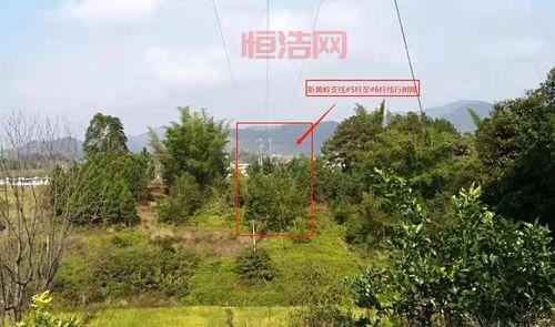 侍道2完整攻略：从主线到支线任务全覆盖