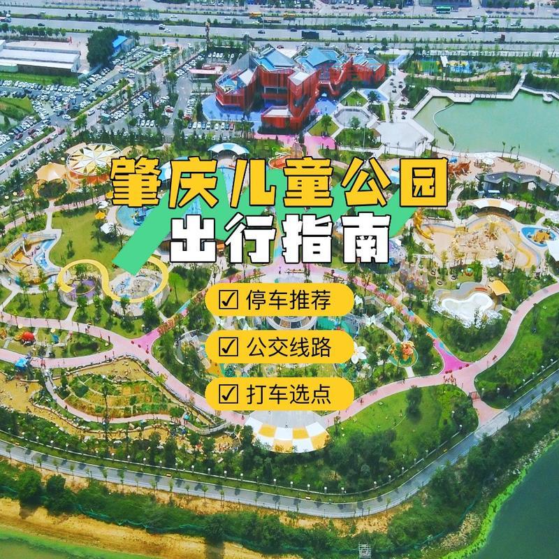 猛男捡树枝：荒岛求生全攻略，轻松打造专属天堂！