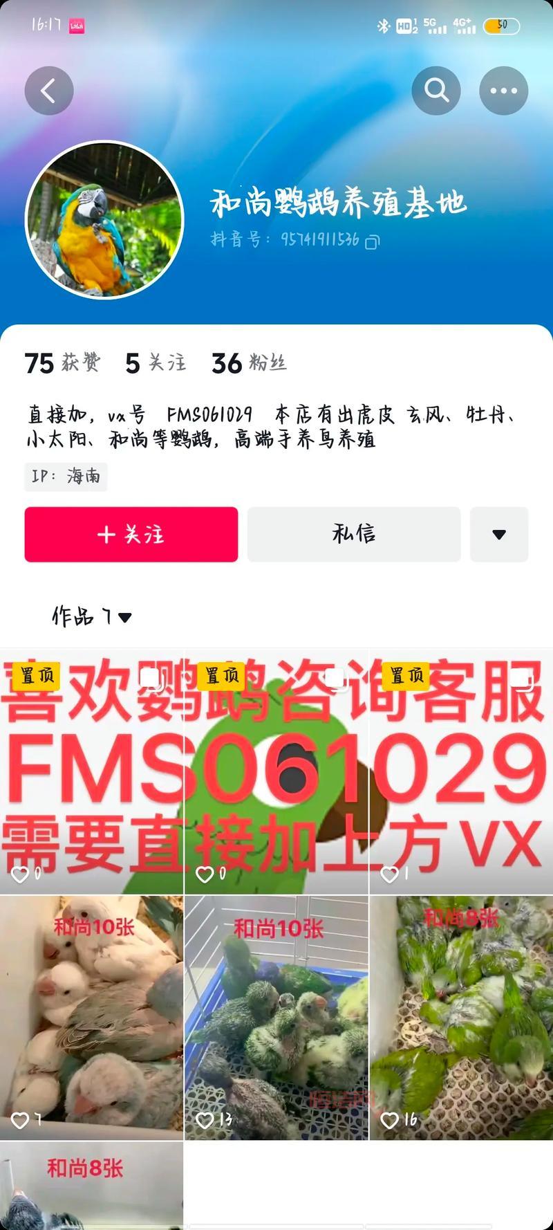 DNF恶魔猎手：打造最强鹦鹉，伤害提升技巧