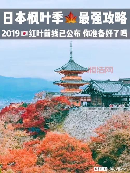 樱花与剑：揭示日本商业智慧与文化魅力