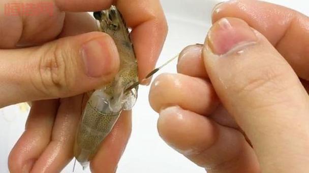 虾怎么处理干净？简单技巧教你去虾线、除杂质