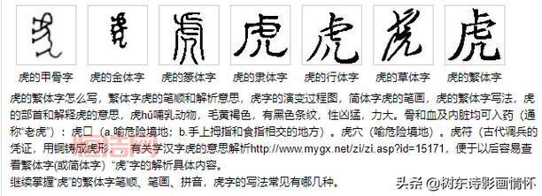 虎字成语精选：四字吉利语句推荐