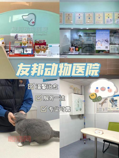 哈艮地宠物靠谱吗？一篇文章为你全面解析！