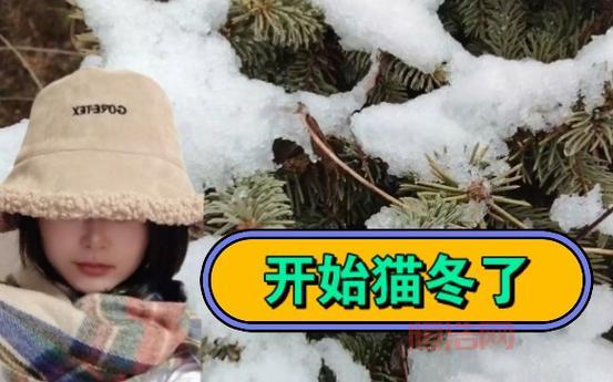 猫冬是什么意思？深度解析“猫冬”背后的含义与习俗