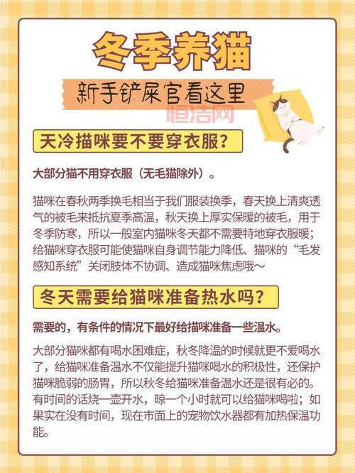 猫冬是什么意思？深度解析“猫冬”背后的含义与习俗