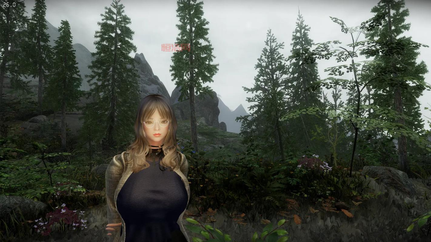 提升上古卷轴5画质的最佳MOD合集