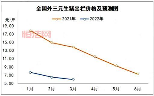畜禽和人类AA解读：人与畜禽如何和谐共生