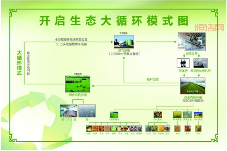 畜禽和人类AA解读：人与畜禽如何和谐共生